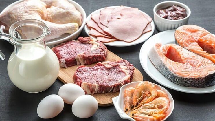 Allowed foods for protein diet