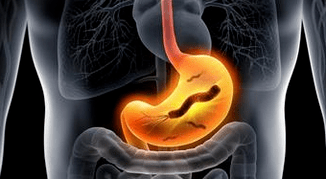 Human belly